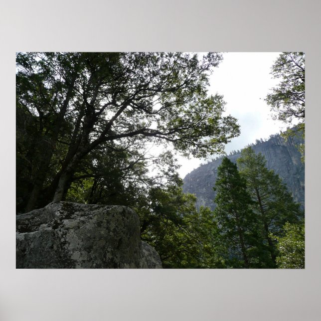 Affiche Matin sur le sentier menant à Vernal Falls dans Yo (Devant)