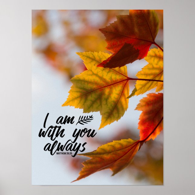 Affiche Matthew 28 20 I Cas de Leaves With You Always (Devant)