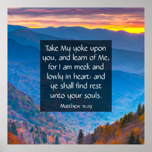 Affiche Matthieu 11:29