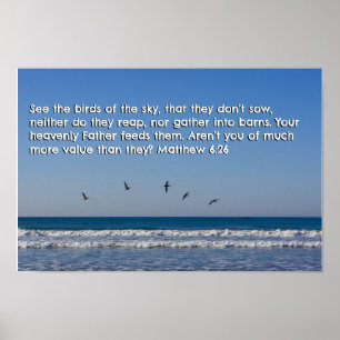 Affiche Matthieu 6:26