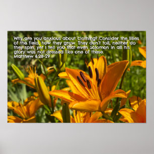 Affiche Matthieu 6:28-29