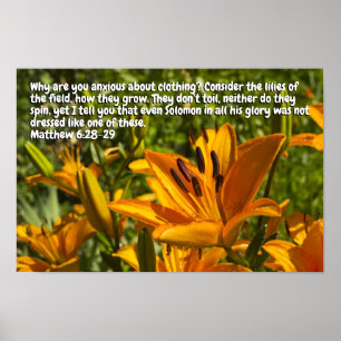 Affiche Matthieu 6:28-29