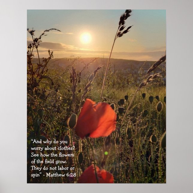 Affiche Matthieu 6:28 Les coquelicots au coucher du soleil (Devant)