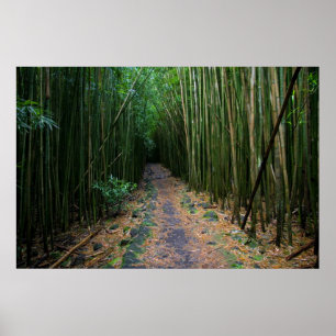 Affiche Maui