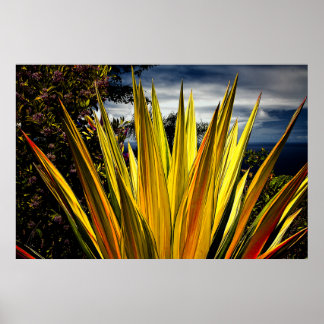 Affiche Maui Gold - Hawaii