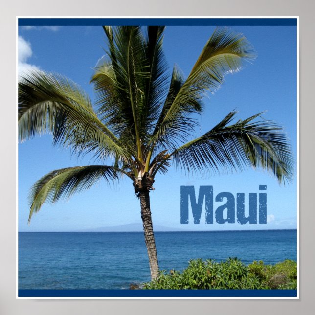 Affiche Maui Hawaii (Devant)