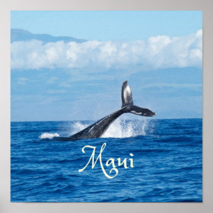 Affiche Maui Hawaii Ocean Whale Tail