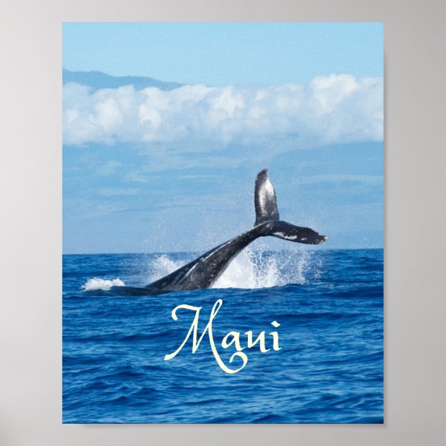 Affiche Maui Hawaii Ocean Whale Tail (Devant)