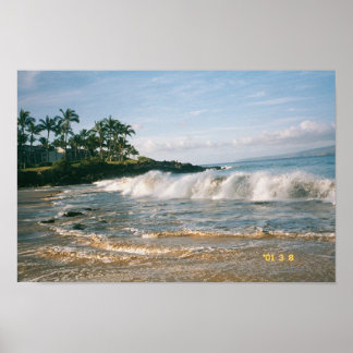 Affiche Maui Waves