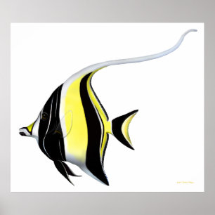 Affiche maure de poissons d'idole de récif