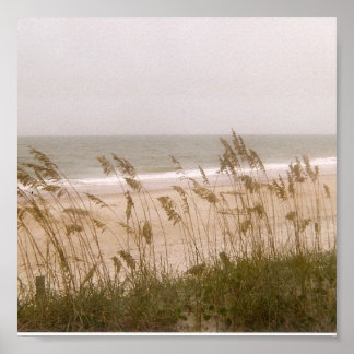 Affiche mauvaises herbes