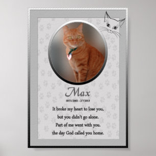 Affiche Max - Cat Memorial