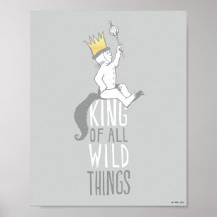 Affiche Max   Le roi de toutes les choses sauvages