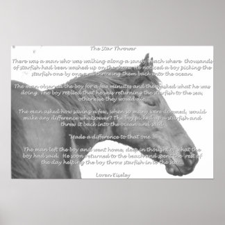 Affiche Maxx Starfish