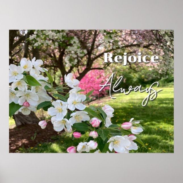 Affiche May Flowers Pink Rejoice Always (Devant)