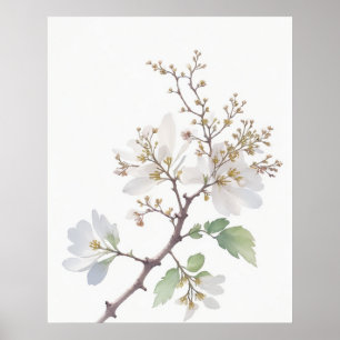 Affiche May Hawthorn Birth Flower