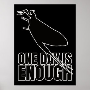 Affiche Mayflower Un jour de mouches - Geek d'Entomologie