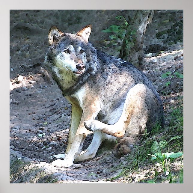 Affiche McAfee Wolf (Devant)