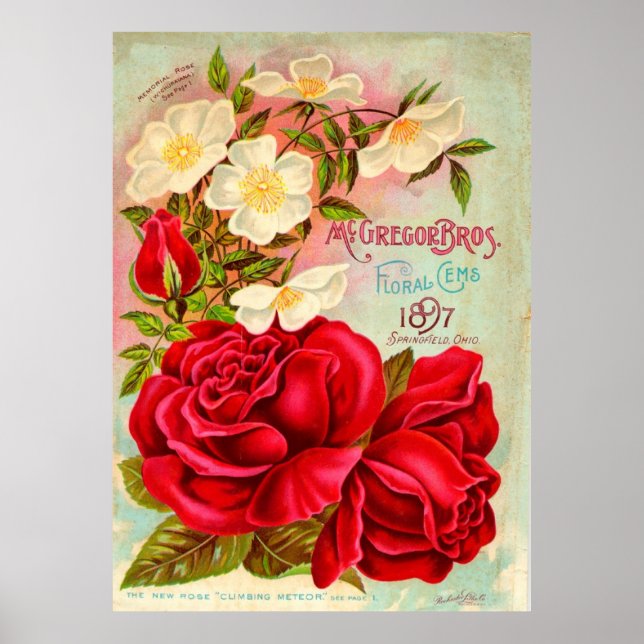 Affiche McGregor Bros. Floral Gems Advertisement (Devant)