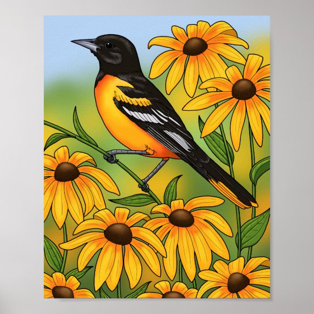 Affiche MD State Bird Oriole & Black-eyed Susan Flower (Devant)