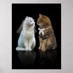 Affiche Me méprendrez-vous ?