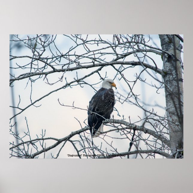 Affiche mécontent (Devant)
