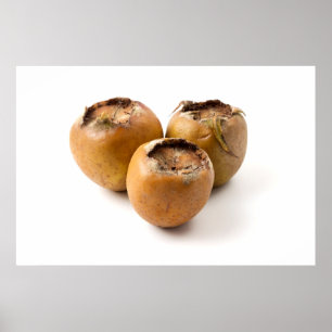 Affiche Médaillé commun