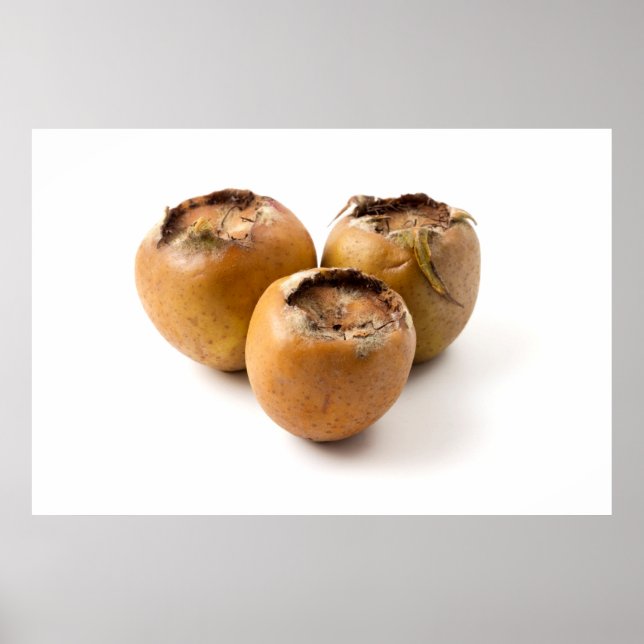 Affiche Médaillé commun (Devant)