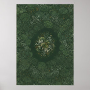 Affiche Médaillon de mousse de forêt sombre et de lichen d