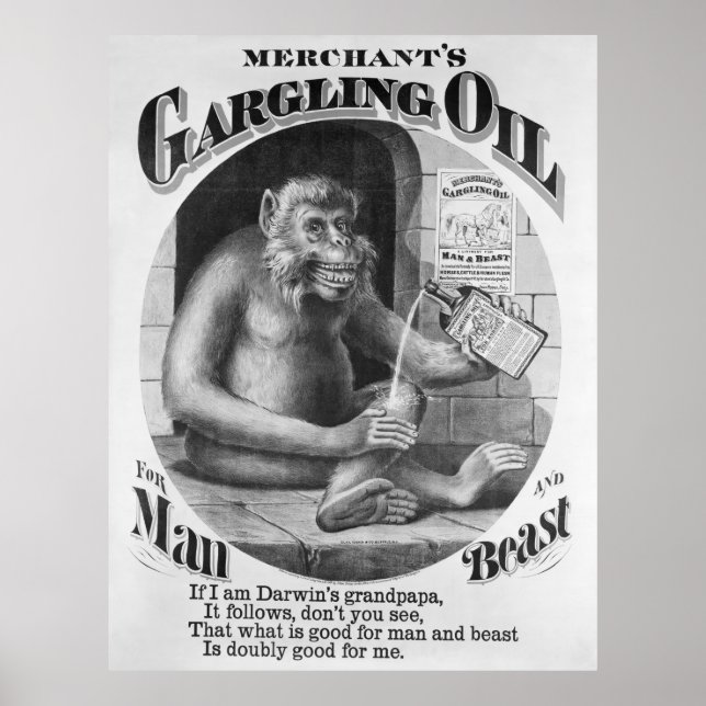 AFFICHE MÉDECINE SUR LES BREVETS D'HUILE DE GARGAGE 1869 (Devant)