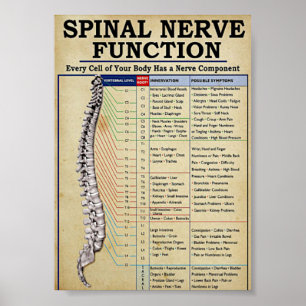 Affiche médical vintage illustré