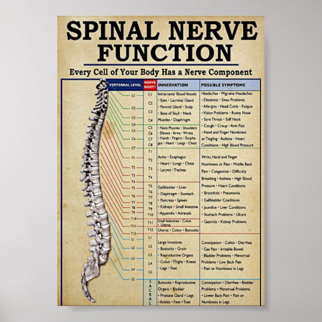 Affiche médical vintage illustré (Devant)