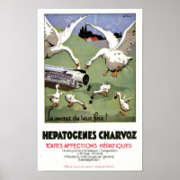 Affiche Médicale Vintage Hepatogenes Charvoz Franç
