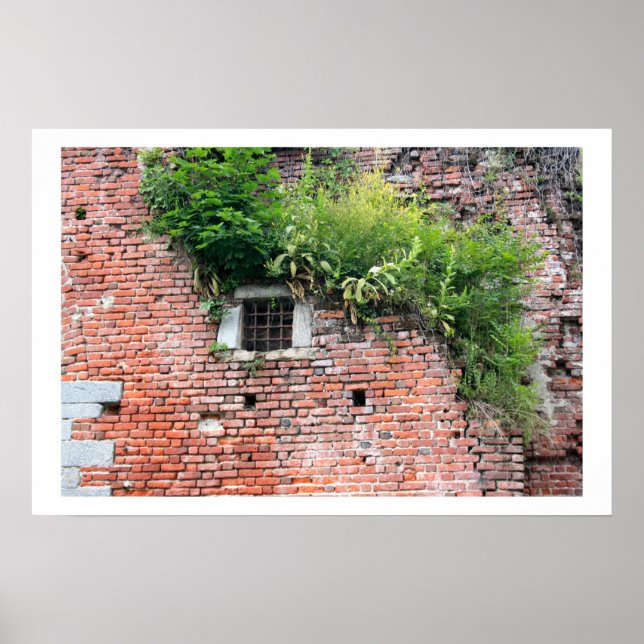 Affiche Medieval Window Detail (Devant)