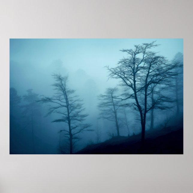 Affiche Méditation du paysage forestier Calme serein (Devant)