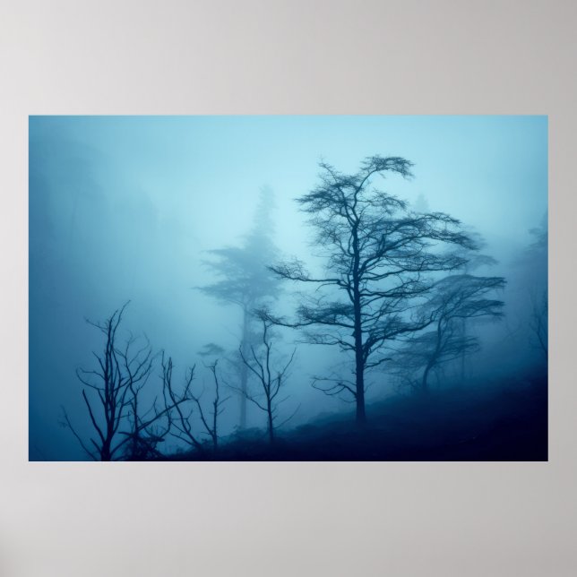 Affiche Méditation du paysage forestier Calme serein (Devant)