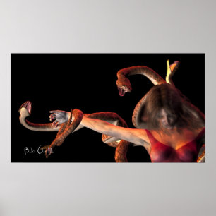 Affiche Medusa
