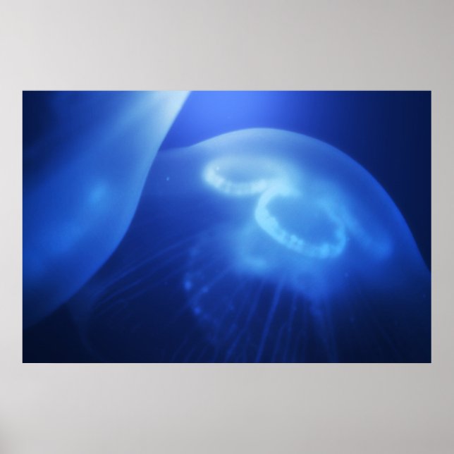 Affiche Méduse 1 (Devant)