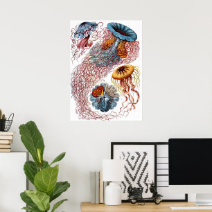 Affiche Méduses vintage par Ernst Haeckel, Discomedusae
