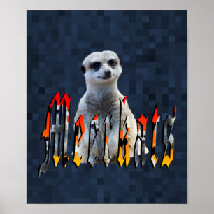 Affiche Meerkat Avec Logo Meerkats,