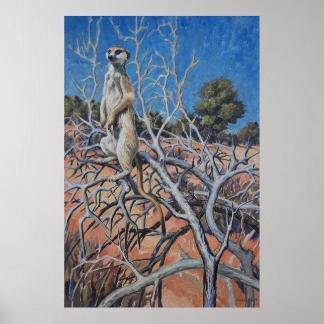 Affiche Meerkat sentinel - Art print (Devant)