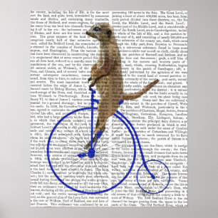Affiche Meerkat Sur Blue Penny Farthing