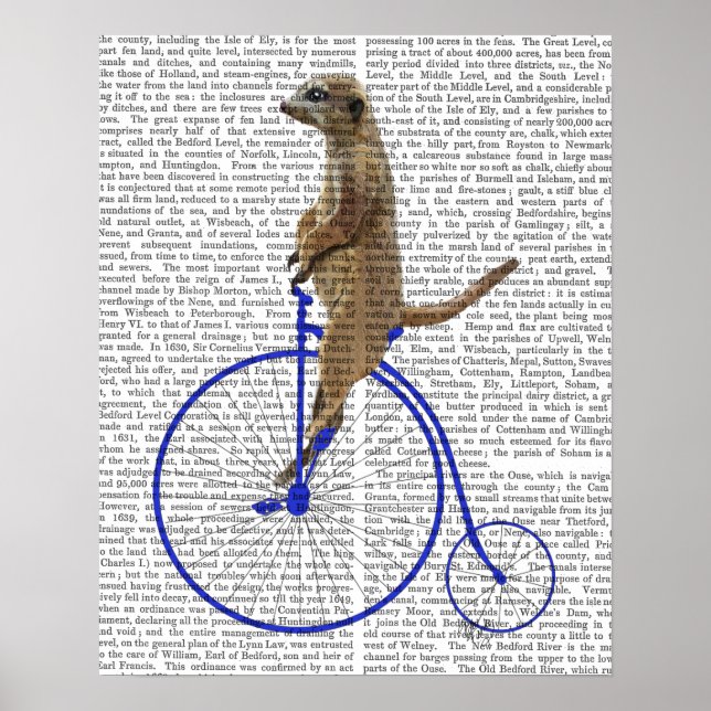 Affiche Meerkat Sur Blue Penny Farthing (Devant)