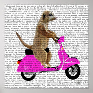 Affiche Meerkat sur le vélomoteur de rose