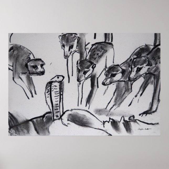 Affiche Meerkats se baladant Cobra - Art Print (Devant)