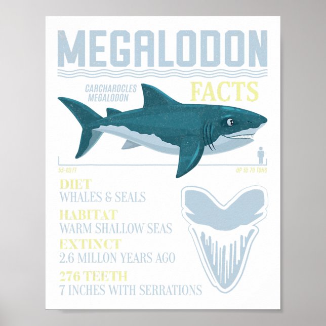 Affiche Megalodon Faits Meg Préhistorique Requin Fossiles  (Devant)