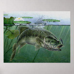 Affiche Meilleur 2010 national d'exposition par A. Hunter