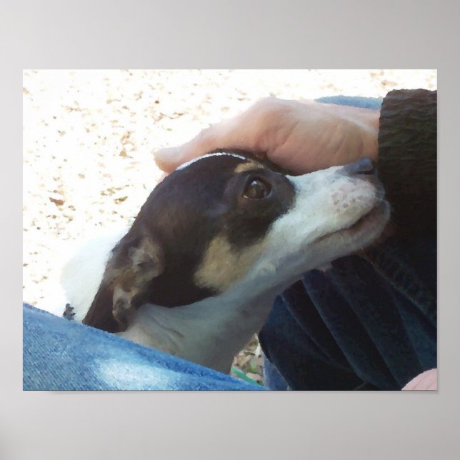 Affiche Meilleur ami (Devant)