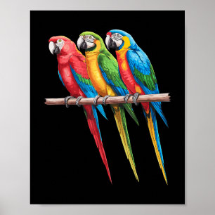 Affiche Meilleur Art Parrot Pour Hommes Femmes Enfants Par
