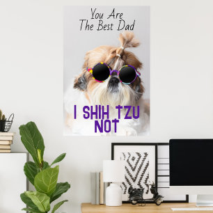Affiche Meilleur papa Shih Tzu Pas mignon drôle photo de c